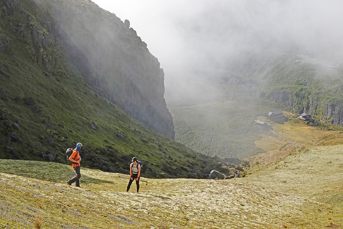 Alpine herb fields