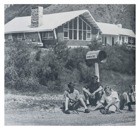 Unwin 1971