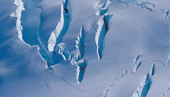 Walking tracks across a crevassed glacier