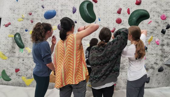 Competiton boulderers observe the problems before competing