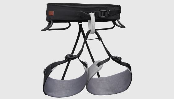 Climbing harness