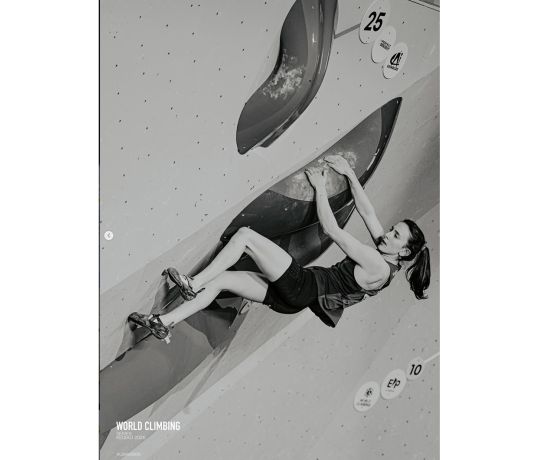 Competition climber